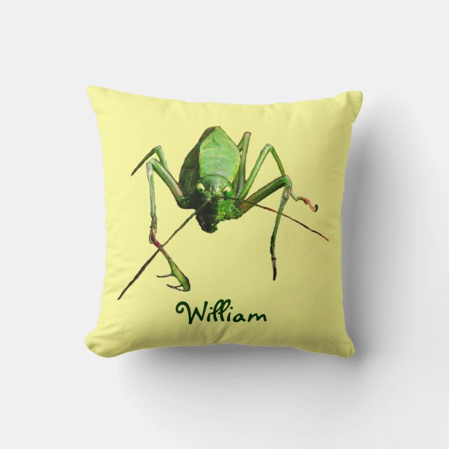 Cojín Decorativo Katydid (Anverso)