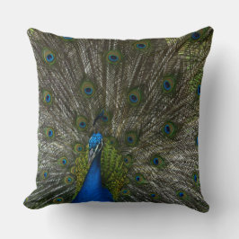 Cojín Decorativo Kauai Peacock