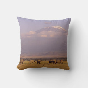 Cojín Decorativo Kenia: Parque Nacional Amboseli, Elefantes