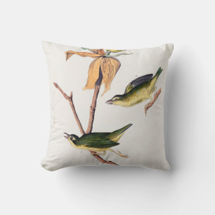 Cojín Decorativo Kentucky Fly-Catching Warbler Birds Ilustracion