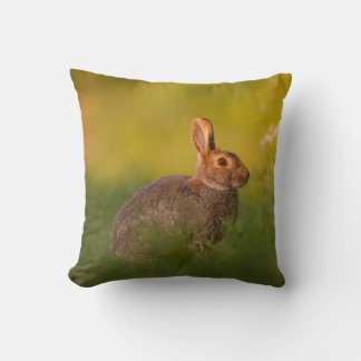 Cojín Decorativo Kissen mit Kaninchen im Abendlicht