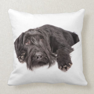 Cojín Decorativo Kissen Riesenschnauzer