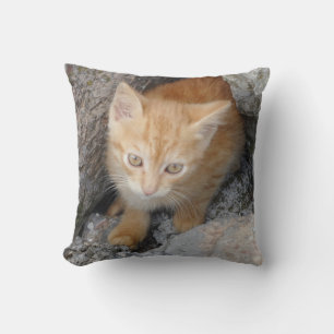Cojín decorativo Kitten Inocent