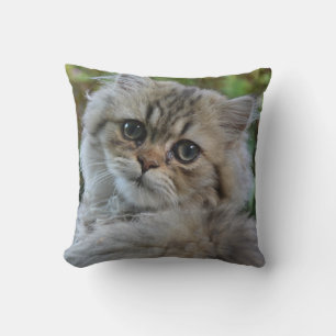 Cojín Decorativo Kitten persa