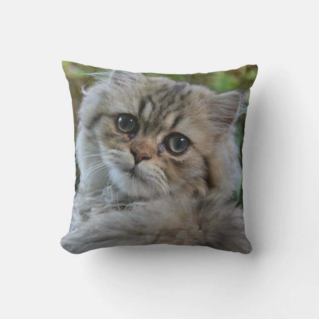 Cojín Decorativo Kitten persa (Anverso)