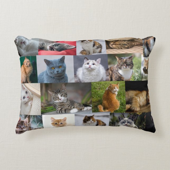 Cojín Decorativo Kitties Everywhere (Anverso)