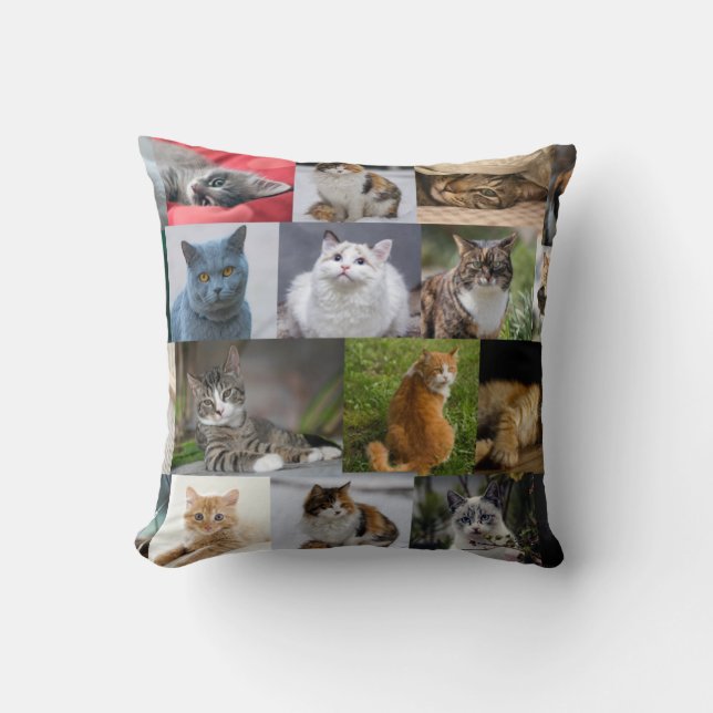 Cojín Decorativo Kitties Everywhere (Anverso)