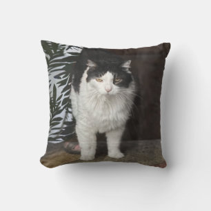 Cojín Decorativo Kitty