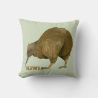 Kiwi N.Z. Bird