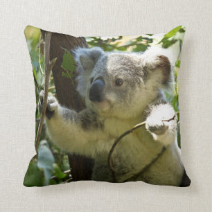 Cojín Decorativo Koala Adorable En El Árbol De Eucaliptos Tira El 