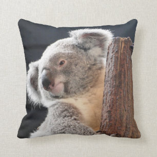 Cojín Decorativo Koala australiana