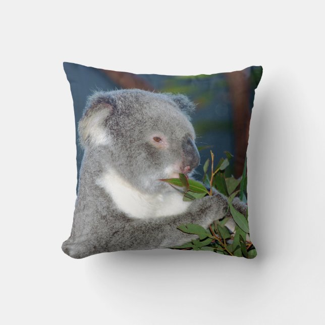 Cojín Decorativo Koala hambriento (Anverso)
