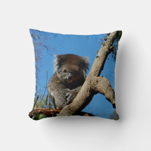 Cojín Decorativo Koala Lleva El Whisperer Del Árbol,