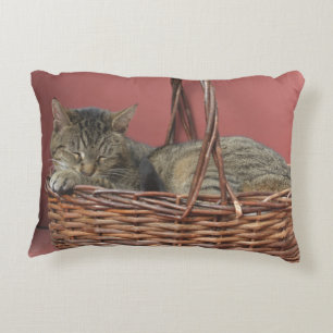 Cojín Decorativo Kozy Kitty Pillow
