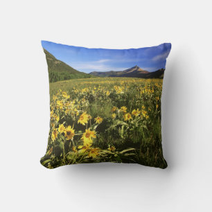 Cojín Decorativo La balsomroot de hoja de flecha cubre la pradera c