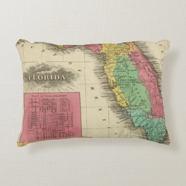 Cojín Decorativo La Florida 10 2 (Anverso)