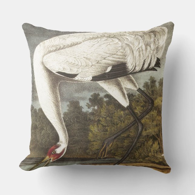 Cojín Decorativo La grúa que chilla de Audubon (Anverso)