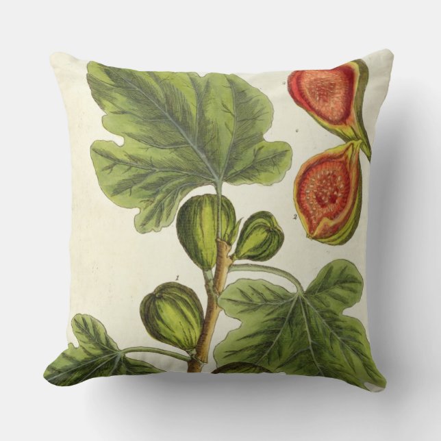 Cojín Decorativo La higuera, platea 125 "de un herbario curioso", p (Anverso)