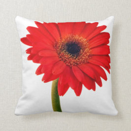Cojín Decorativo La margarita roja de Gerber florece la flor floral