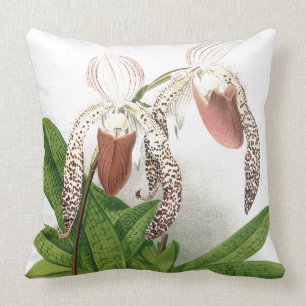 Cojín Decorativo La orquídea botánica del Cypripedium florece la