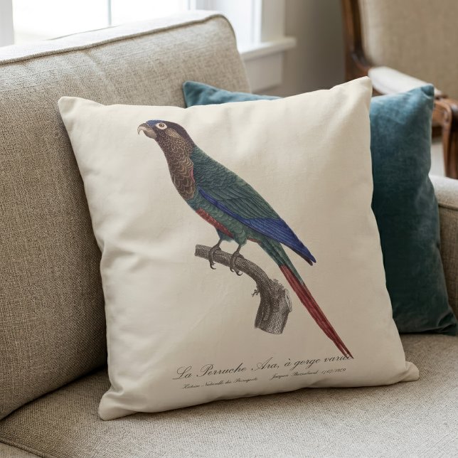 Cojín Decorativo La Perruche Ara, de garganta variada  (The Painted Parakeet, Pyrrhura Picta. Throw Pillow)