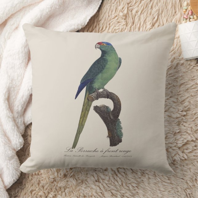 Cojín Decorativo La Perruche es una onda frontal (Manta)