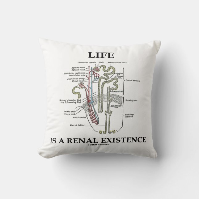 Cojín Decorativo La vida es una existencia renal (riñón Nephron) (Anverso)