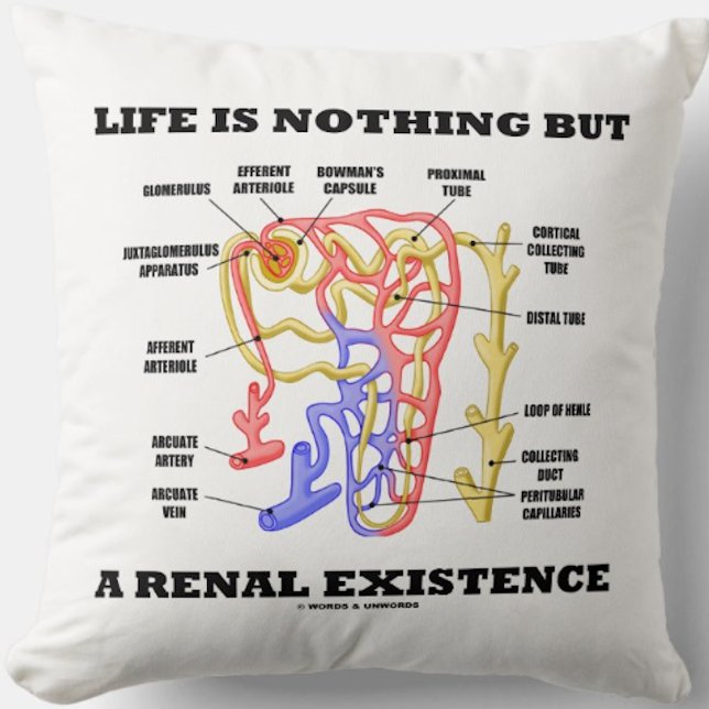 Cojín Decorativo La vida no es nada sino una existencia renal (Kidney's nephron throw pillow with the nephrology sentiment "Life Is Nothing But A Renal Existence")