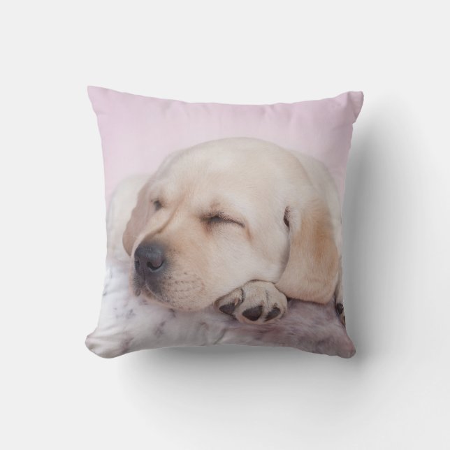 Cojín Decorativo Labrador cachorro (Anverso)