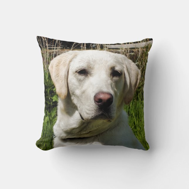 COJÍN DECORATIVO LABRADOR DOG (Anverso)