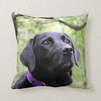 Cojín Decorativo Labrador negro