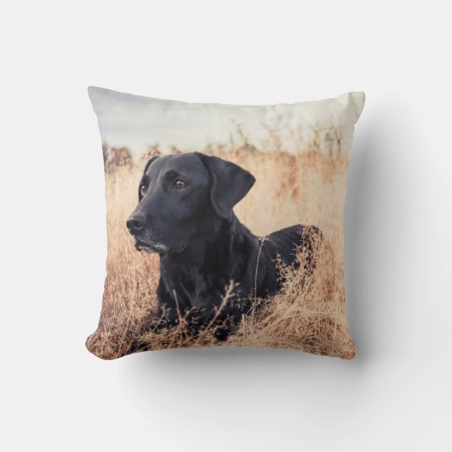 Cojín Decorativo Labrador Negro En Grasa Seca (Anverso)