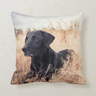 Cojín Decorativo Labrador Negro En Grasa Seca