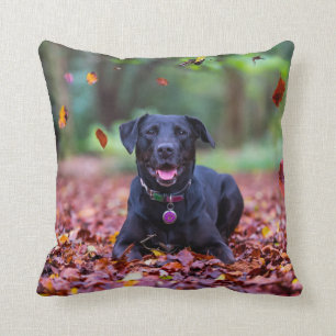 Cojín Decorativo Labrador negro en hojas de otoño