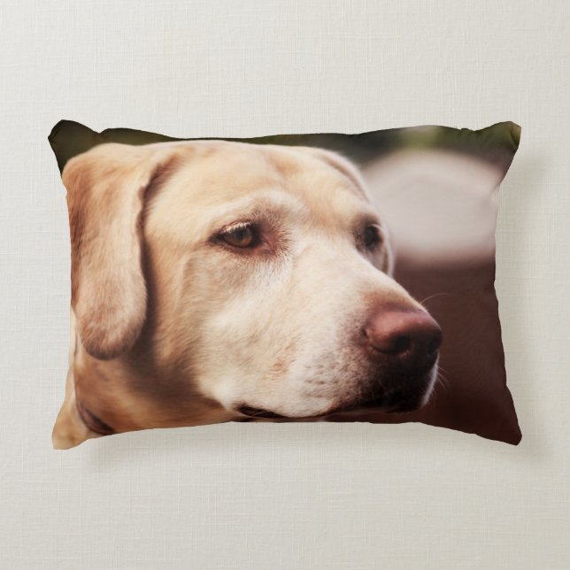 Cojín Decorativo Labrador retriever (Anverso)