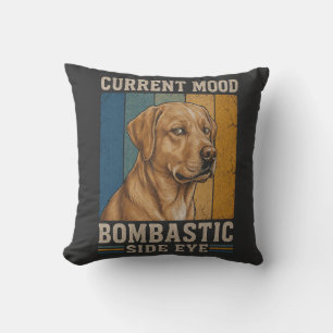 Cojín Decorativo Labrador Retro Divertido Con Mirada De Lado Bombás