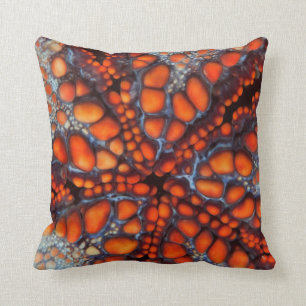 Cojín Decorativo Lado trasero de la estrella de mar  Cambodia