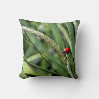 Cojín Decorativo Ladybug (Coccinellidae)