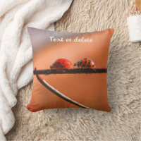 Ladybugs Sigue Al Líder Personalizado 