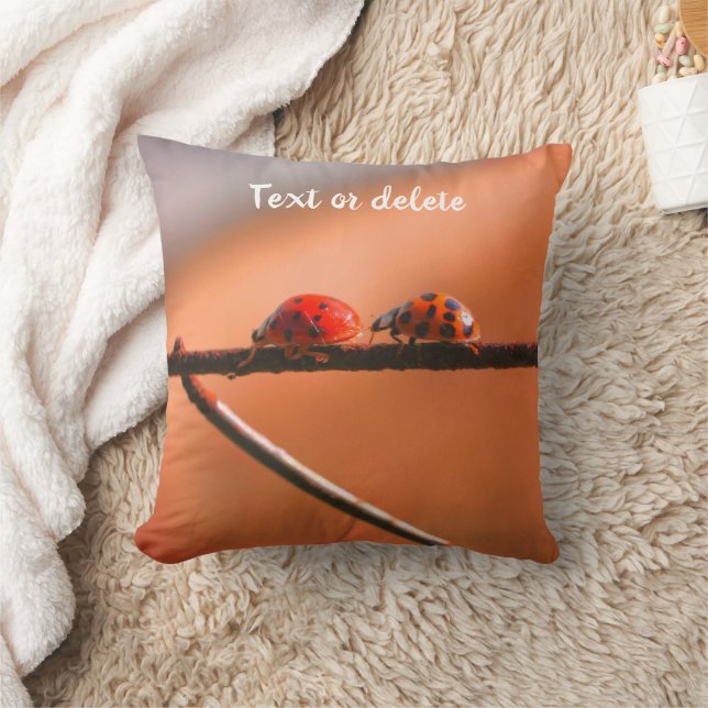 Cojín Decorativo Ladybugs Sigue Al Líder Personalizado  (Manta)
