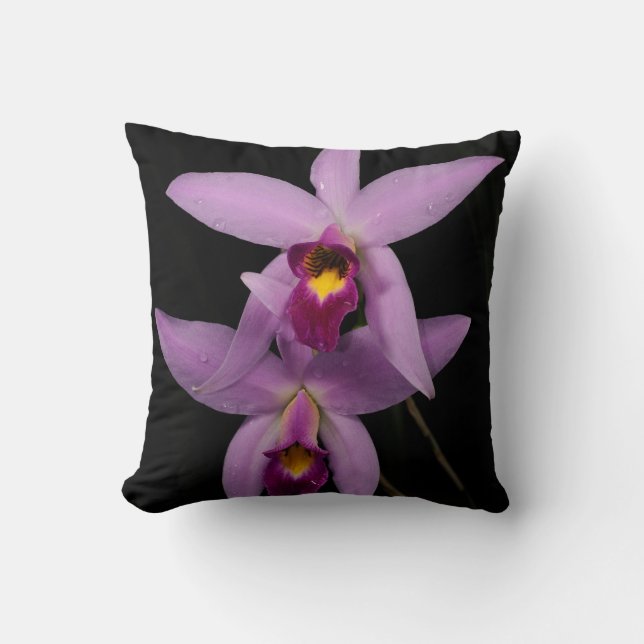 Cojín Decorativo Laelia Anceps (Anverso)