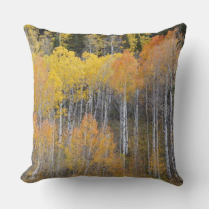 Cojín Decorativo Lambert Hollow, árboles de álamo temblón