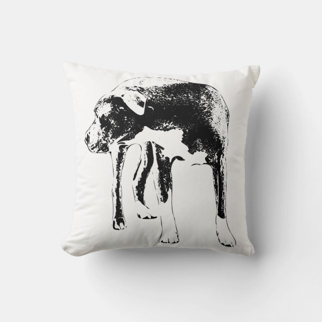 Cojín Decorativo Lantern Path Sentinel (Anverso)