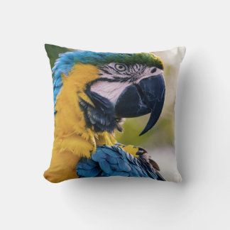 Cojín Decorativo las aves son los únicos animales con plumas 8