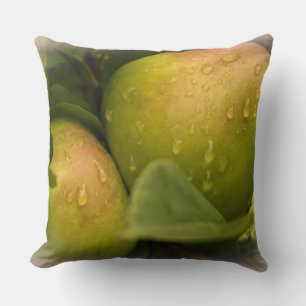 Cojín Decorativo Las manzanas verdes frescas siguen en el árbol