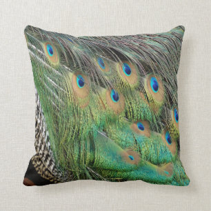 Cojín Decorativo Las plumas del pavo real broncean colores verdes y
