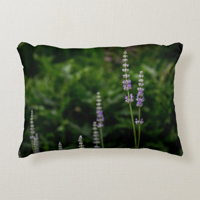 Cojín Decorativo Lavanda Inglesa (Anverso)