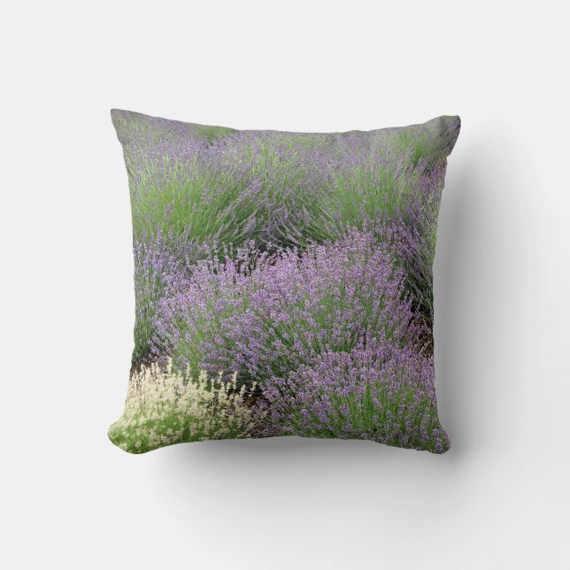Cojín Decorativo Lavanda preciosa (Anverso)