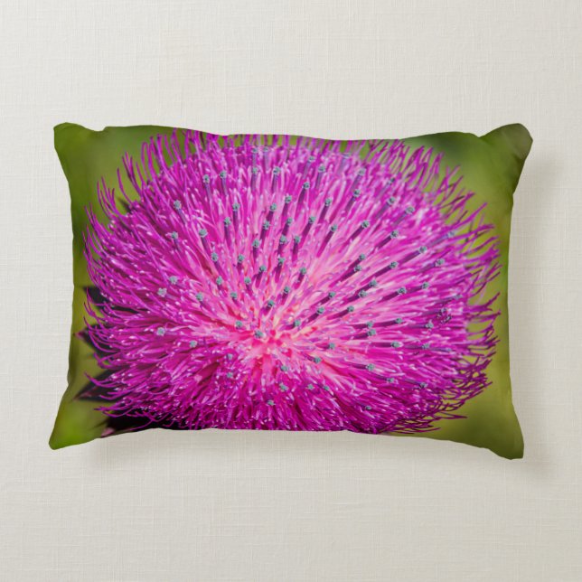 Cojín Decorativo Leche con el cardo cerrado (Reverso)