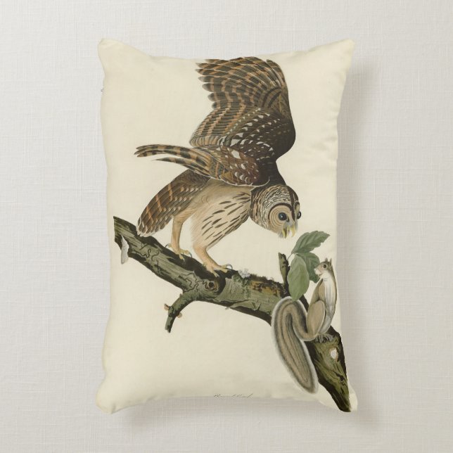 Cojín Decorativo Lechuza Barrada, los pájaros de América de John Ja (Frente (Vertical))